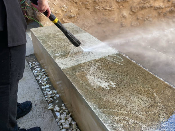Best Deck Cleaning Services  in St Paul, MN