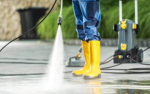 Best House Pressure Washing  in St Paul, MN