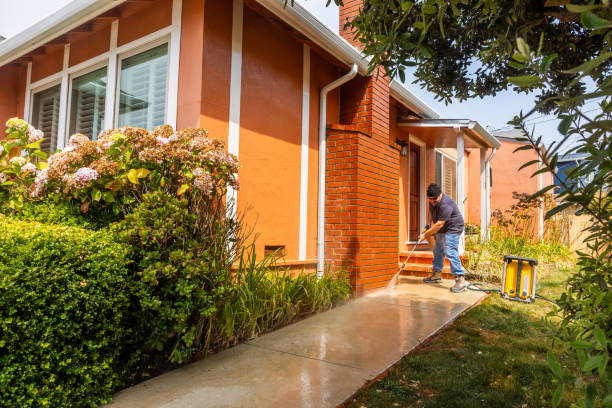 Best Residential Pressure Washing Services  in St Paul, MN